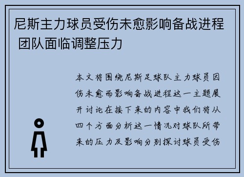 尼斯主力球员受伤未愈影响备战进程 团队面临调整压力