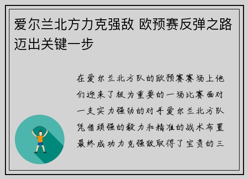 爱尔兰北方力克强敌 欧预赛反弹之路迈出关键一步